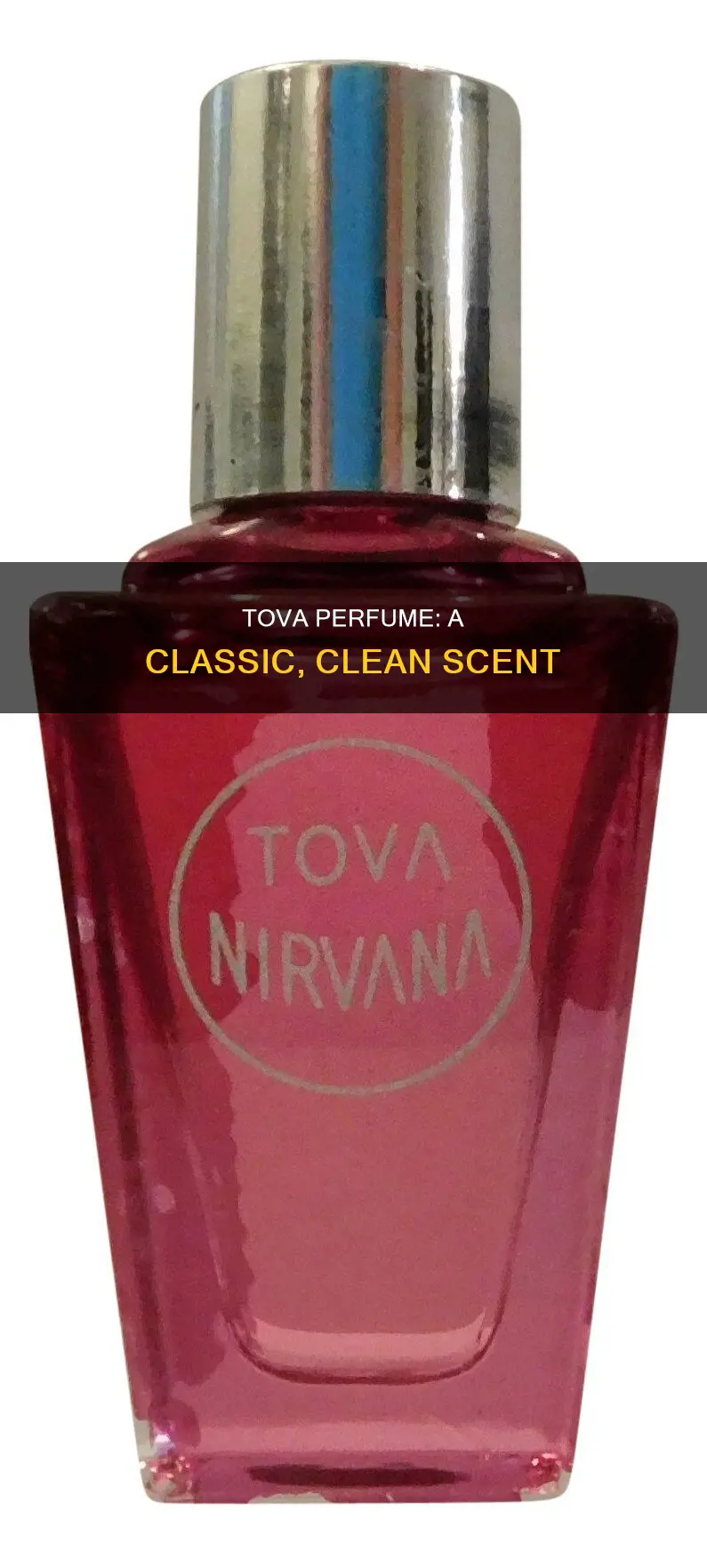 what does tova perfume smell like