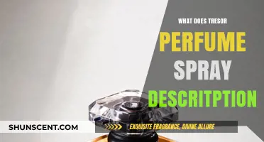 Discover Tresor Perfume Spray: A Luxurious Scent Description Guide