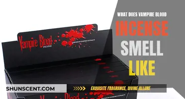 Vampire Blood Incense: A Sweet, Dark, and Mysterious Scent