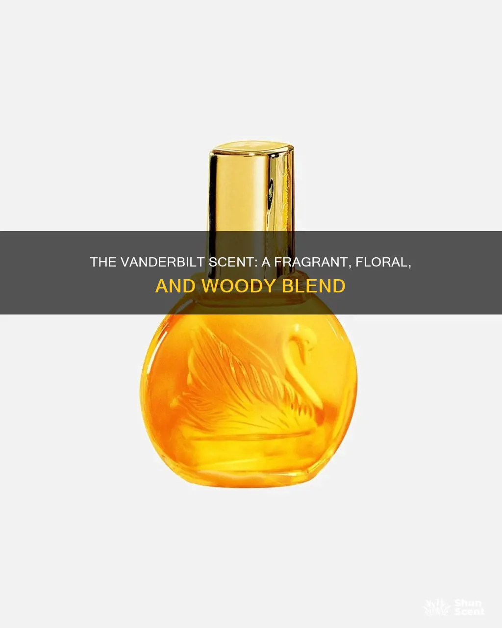 what does vanderbilt perfume smell like