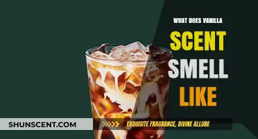 Unveiling the Sweet and Creamy Notes of Vanilla Aroma
