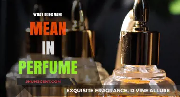 Understanding Vapo: The Meaning and Role in Perfume Fragrance