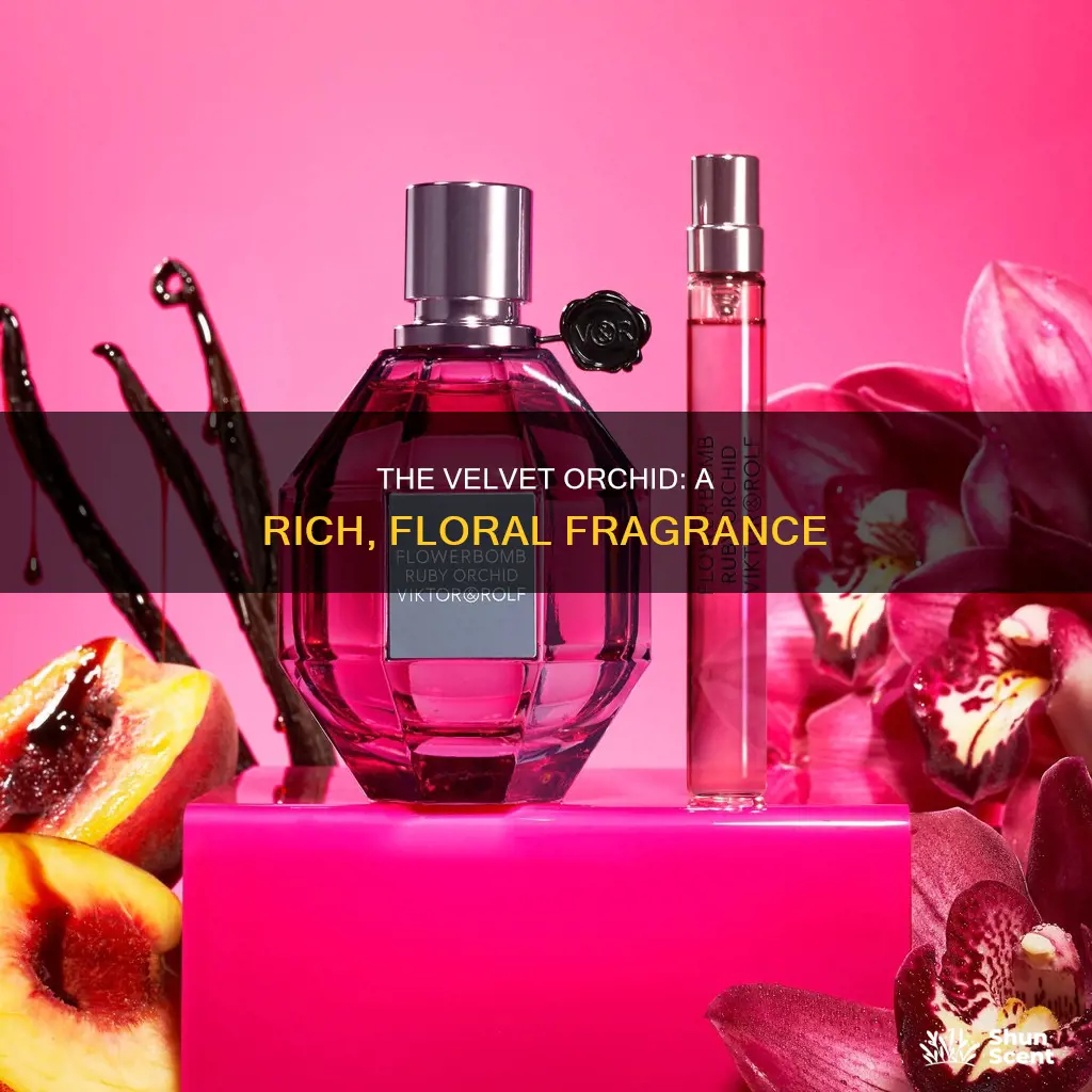 what does velvet orchid perfume smell like