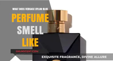 Dylan Blue: Versace's Citrusy, Woody, and Musky Fragrance