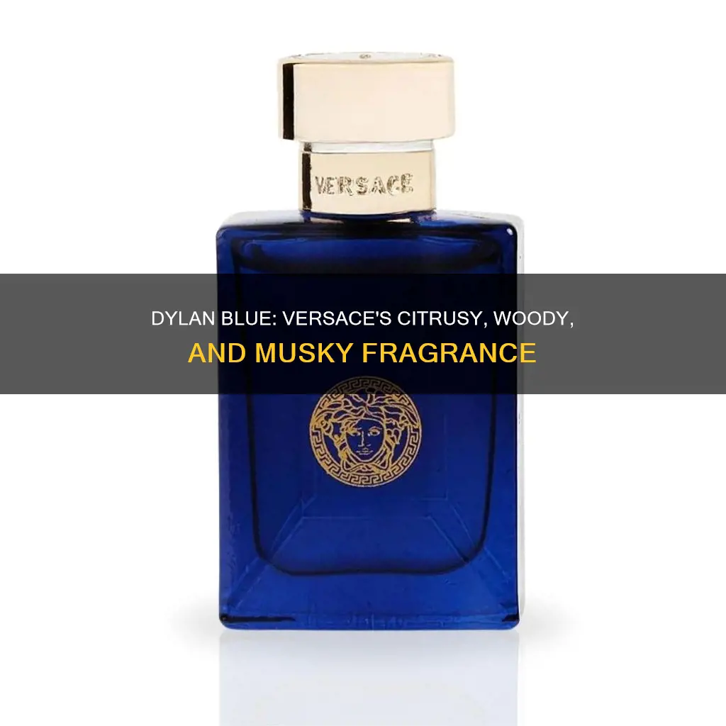 what does versace dylan blue perfume smell like