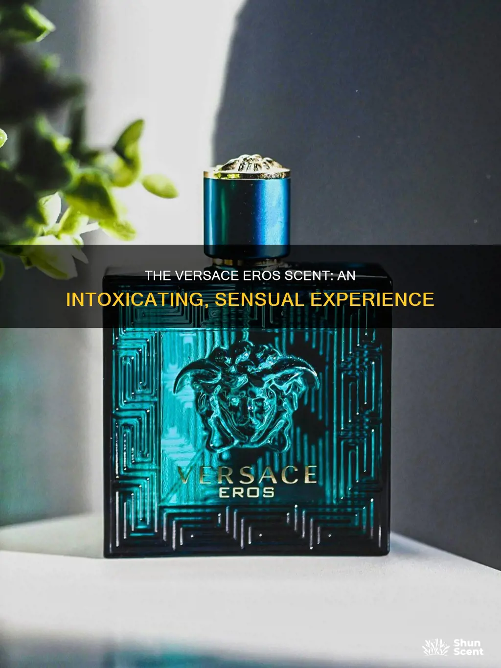 what does versace eros perfume smell like