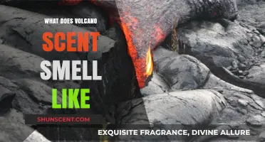 Unveiling the Unique Aromas of Volcanic Eruptions: A Sensory Journey