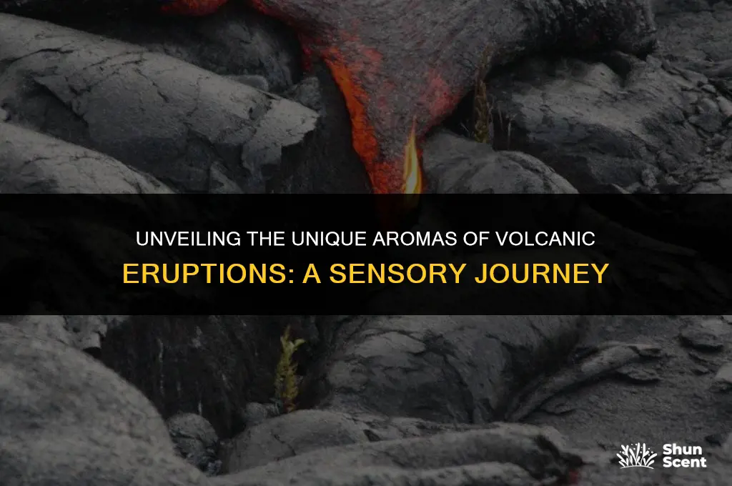 what does volcano scent smell like