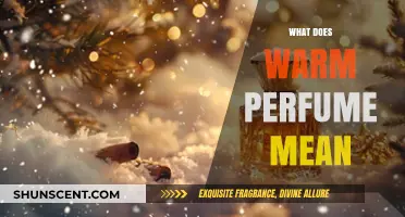 Understanding Warm Perfumes: Notes, Characteristics, and Perfect Occasions