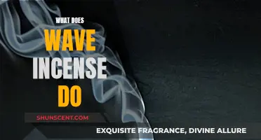 Wave Incense: Calming Aromas for Mind and Body
