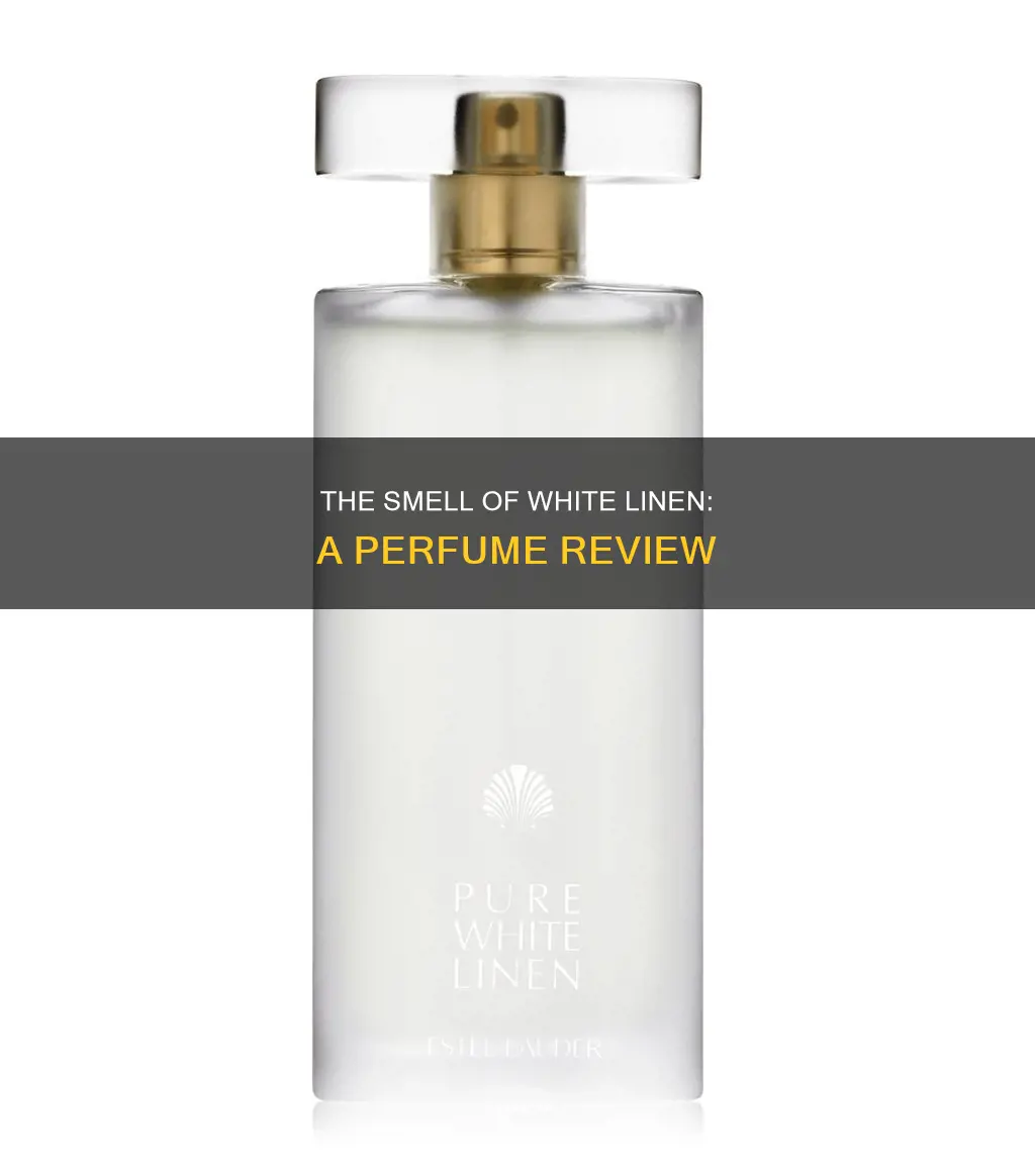 what does white linen perfume smell like
