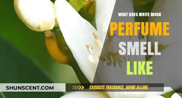 The Unique Scent of White Musk Perfumes