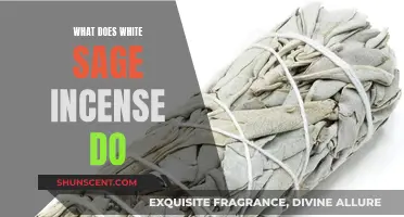 White Sage Incense: Purifying and Healing Properties