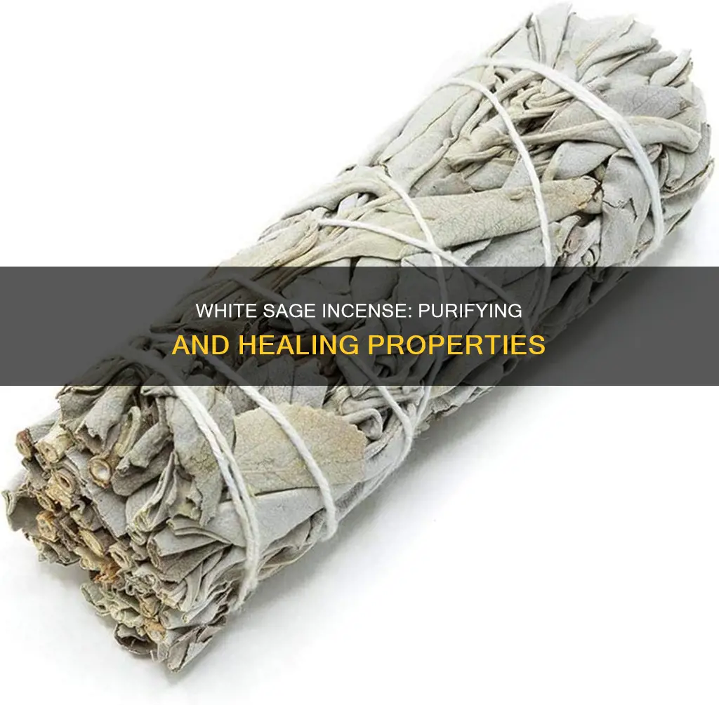 what does white sage incense do