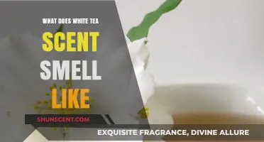 Unveiling the Delicate Aromas: What Does White Tea Scent Smell Like?