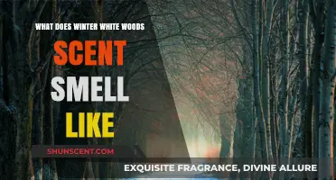 Enchanting Winter White Woods: Unveiling the Crisp, Clean Scent of Nature's Serenity