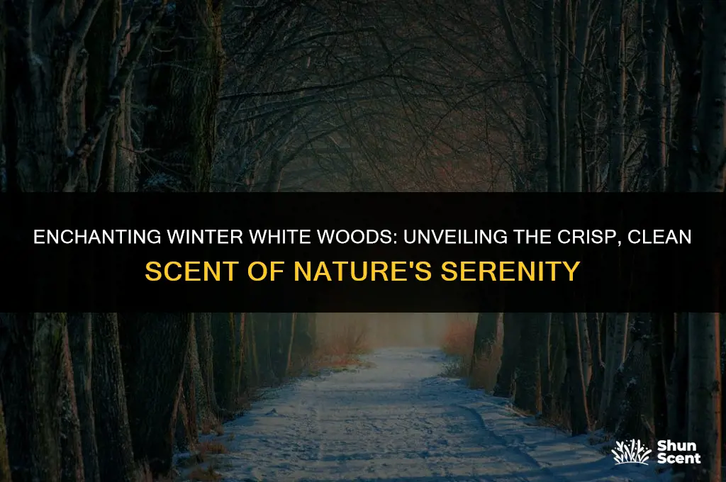 what does winter white woods scent smell like