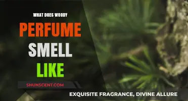 Explore Woody Scents: The Warm, Rich Fragrance