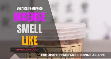 Wormwood Incense: A Distinctive, Bitter-Sweet Aromatic Experience