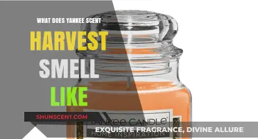 Exploring the Essence: What Does Yankee Scent Harvest Smell Like?