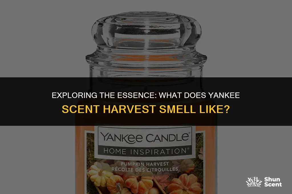 what does yankee scent harvest smell like
