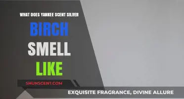 Exploring the Yankee Candle Silver Birch Scent: A Fresh, Woody Aroma