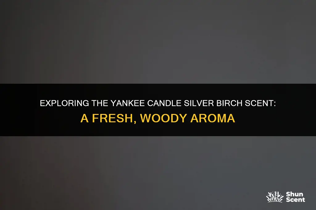 what does yankee scent silver birch smell like