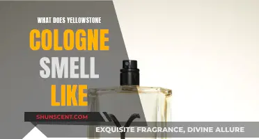 Yellowstone Cologne: A Scent of Wilderness and Adventure