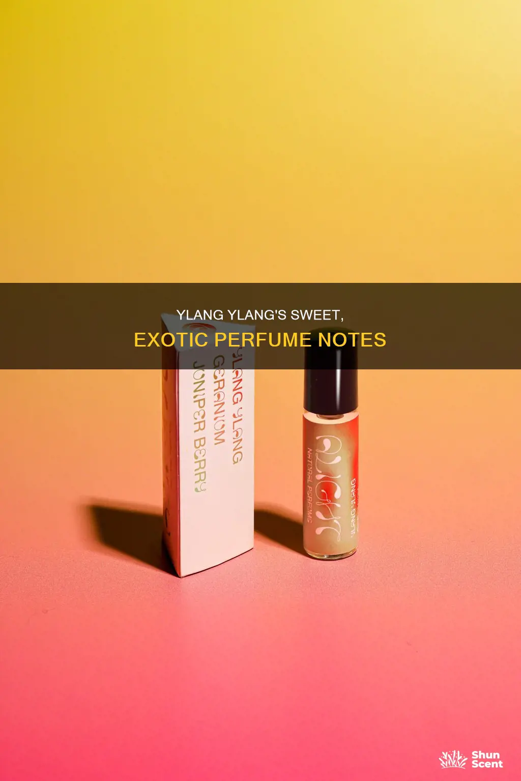 what does ylang ylang smell like in perfume