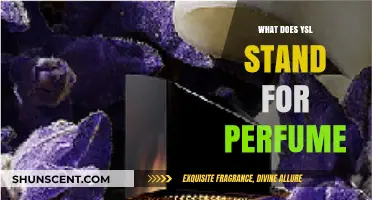 YSL Perfume: What Does YSL Stand For?