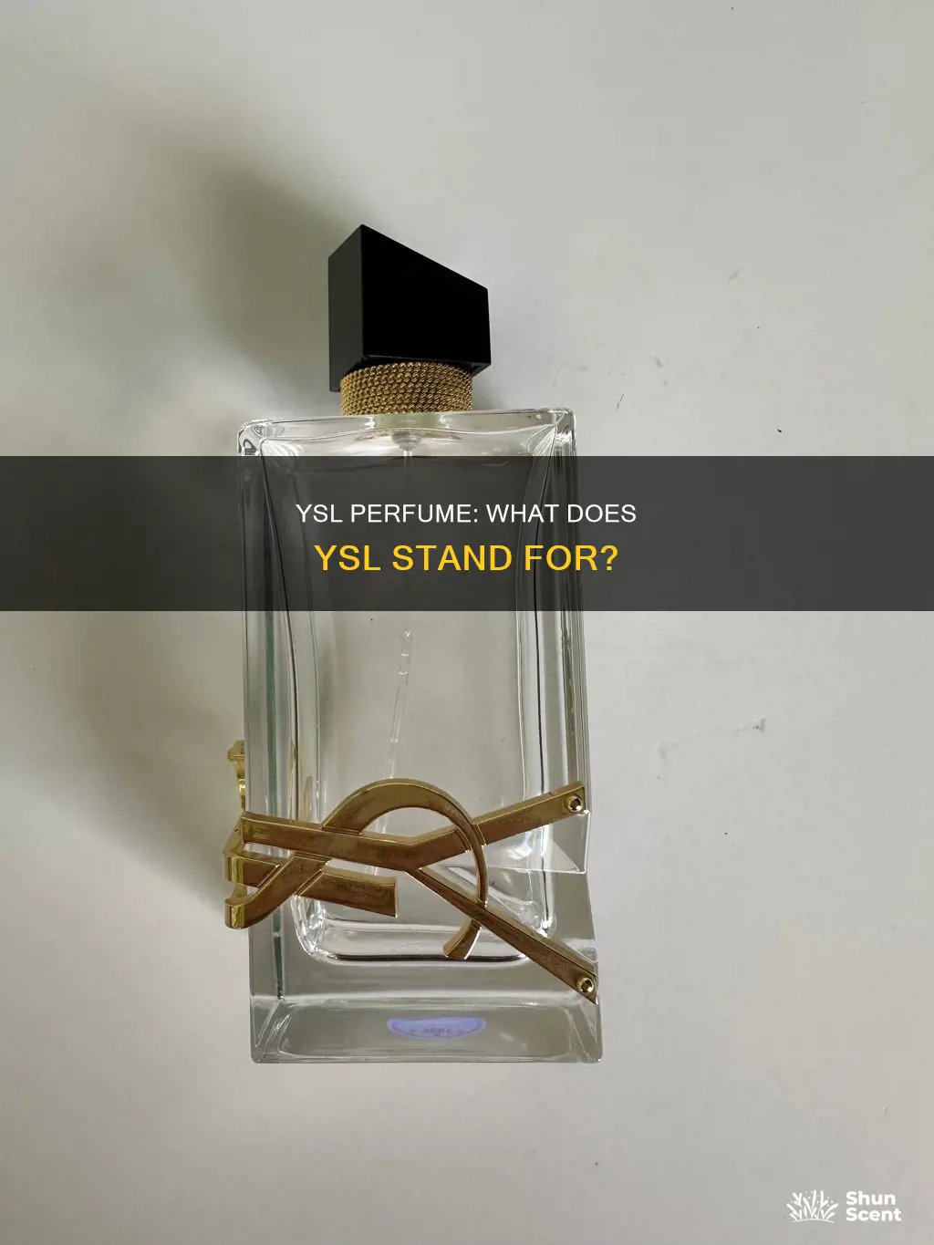 what does ysl stand for perfume