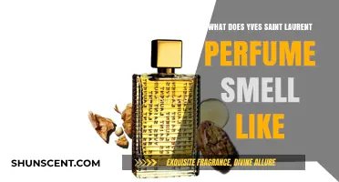 Yves Saint Laurent Perfumes: A Fragrance Journey