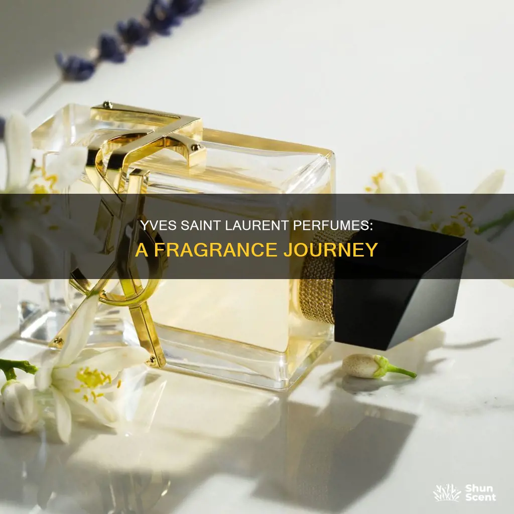 what does yves saint laurent perfume smell like
