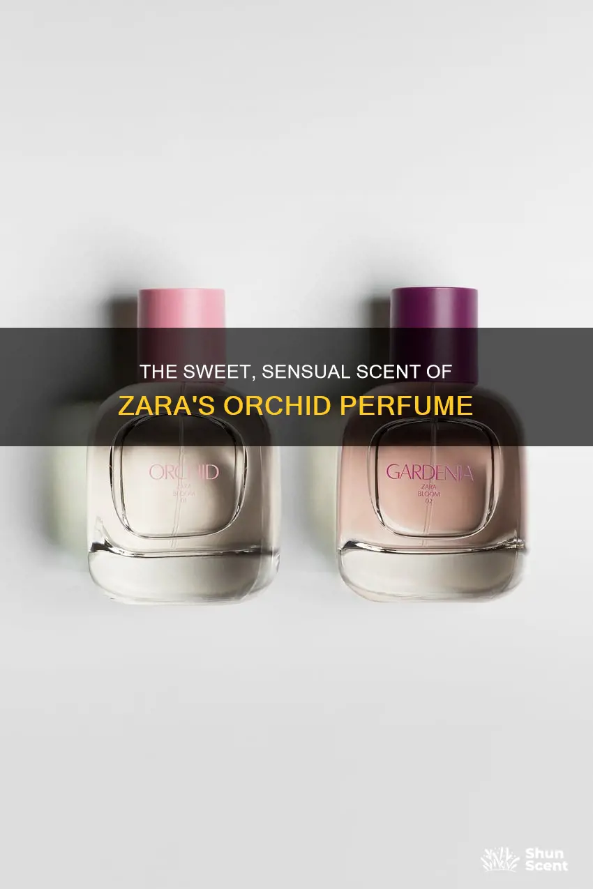 what does zara orchid perfume smell like