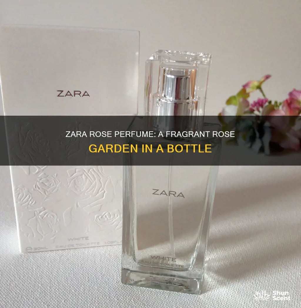 what does zara rose perfume smell like