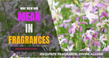 Unraveling the Mystery: What Does 'Soir' Mean in Fragrances?