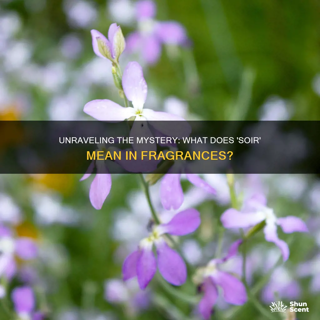 what doew soir mean in fragrances