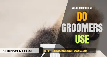 Groomers' Favorite Dog Colognes: What's the Scent?