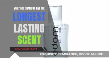 Unleashing Freshness: The Dog Shampoo with Enduring Scent Power