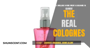 Cheap but Chic: Dollar Store Colognes that Smell Expensive