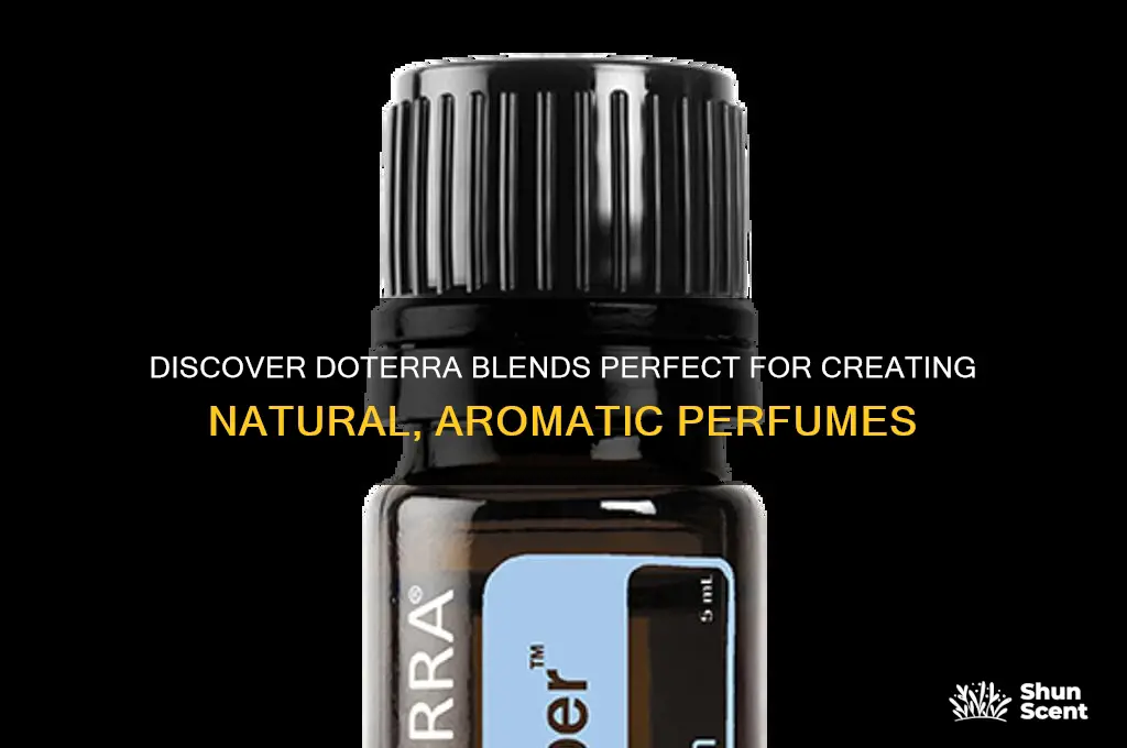 what doterra blends would be good for perfume