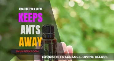 Natural Ant Repellent: Discover the Power of Doterra Scents