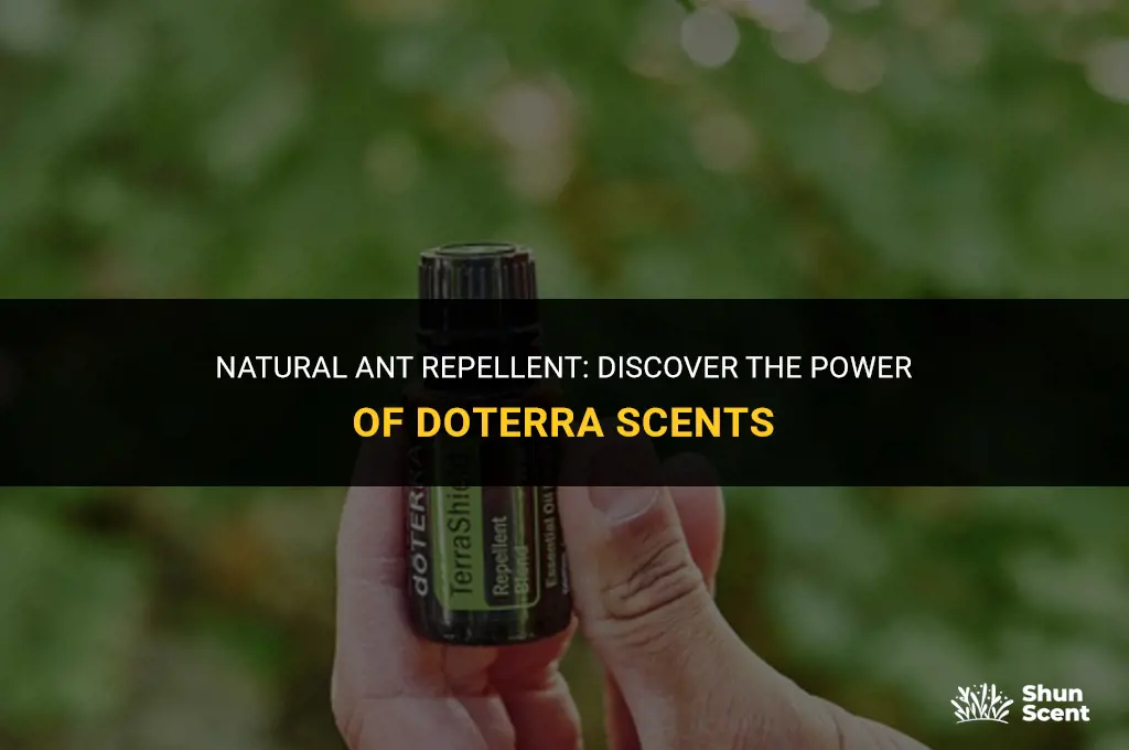 what doterra scent keeps ants away