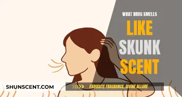 Unraveling the Mystery: What Drug Emits a Skunk-Like Odor?