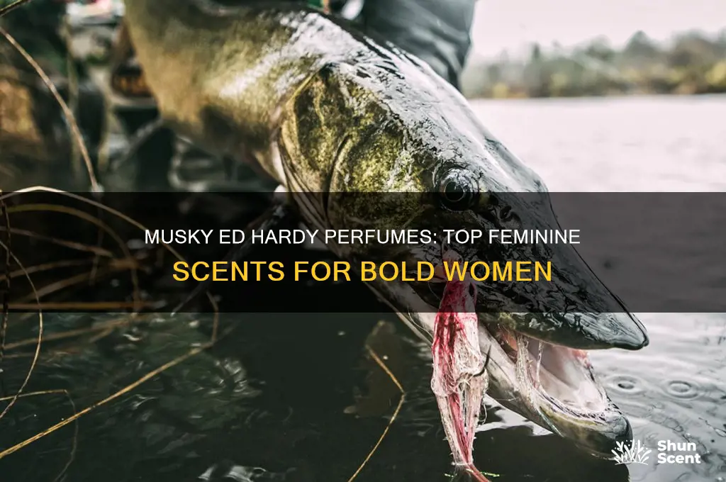 what ed hardy perfume for woman are musky