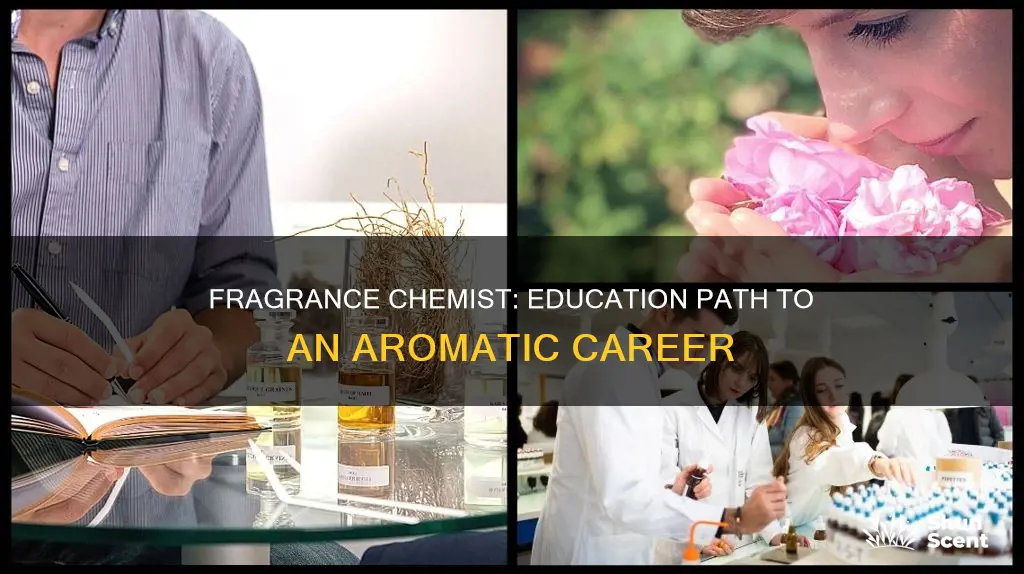 what education do you need to be a fragrance chemist