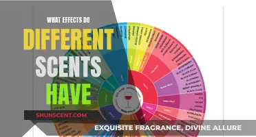Unveiling the Power of Scents: How Different Aromas Influence Our Lives
