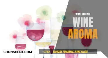 Wine Aroma: The Art of Sensory Science