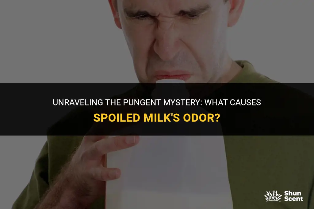 what elements is spoiled milk scent made of