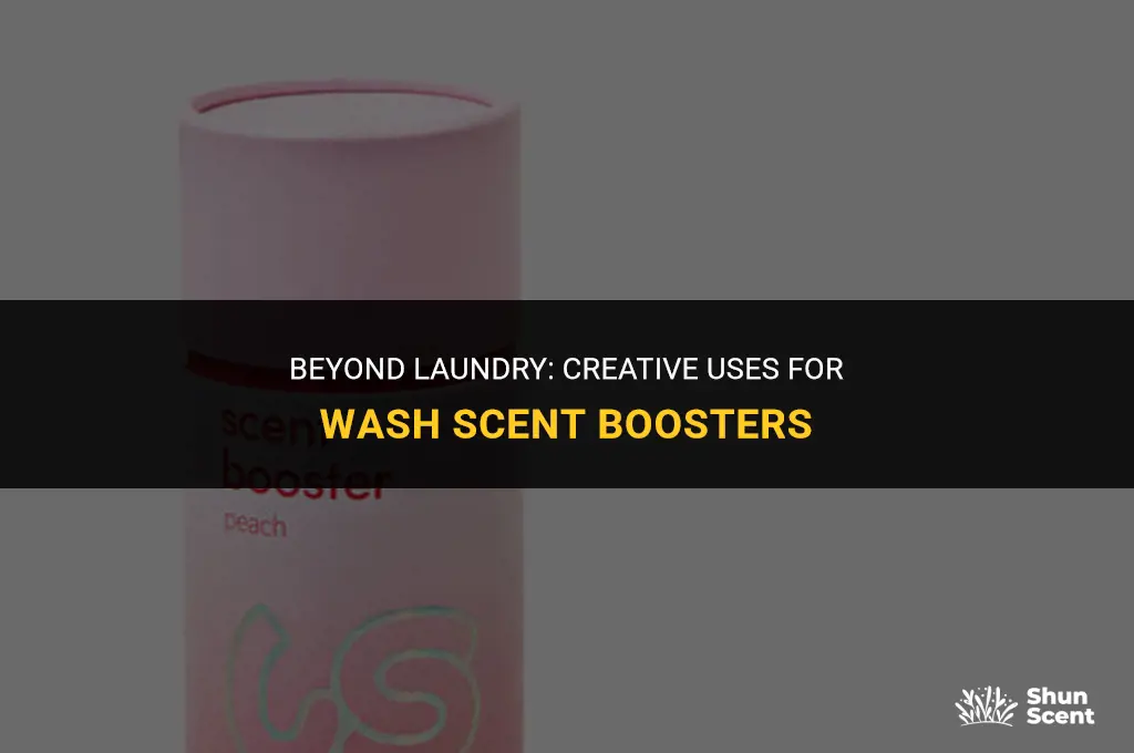 what else can i use those in wash scent booster